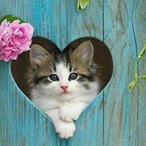 Meet your Posher, Courtney.